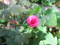 20140224101222