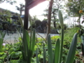 20140224101224