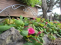 20140224101703