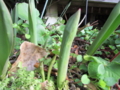 20140224101924