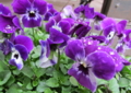 20140305161036
