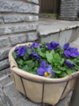 20140305161109