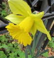 20140305161150