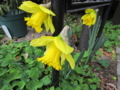 20140305161222
