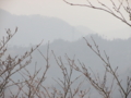 20140305163157