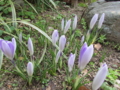 20140310172702