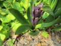 20140310172724