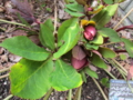 20140310172741