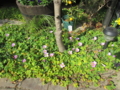 20140311154118