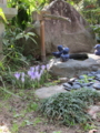 20140311162318