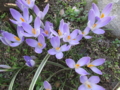 20140312164135