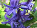 20140316162952