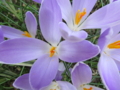 20140316163528