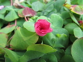 20140316163648