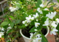 20140316163947