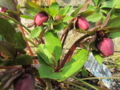 20140316164030