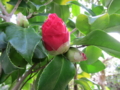 20140316164058
