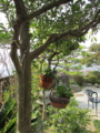20140316164222