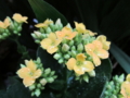 20140318135806
