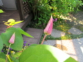 20140523171955