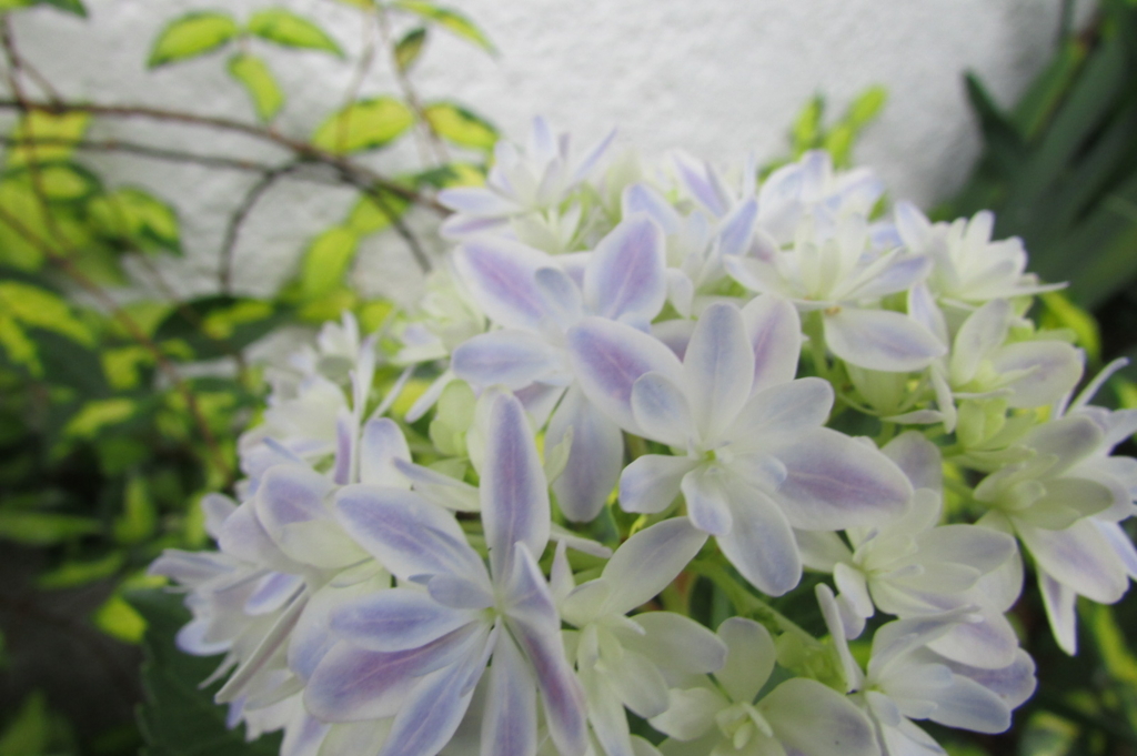 f:id:y77:20160613235228j:plain