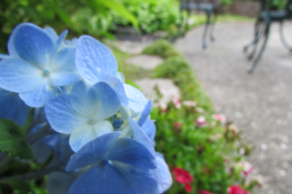 f:id:y77:20160616143452j:plain f:id:y77:20160616143452j:plain