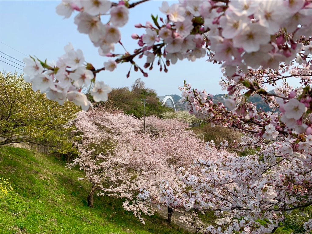 f:id:yPhonist:20190409114551j:image