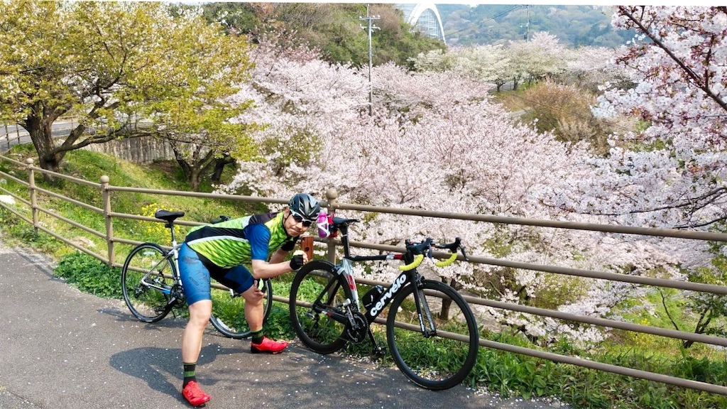 f:id:yPhonist:20190409114627j:image