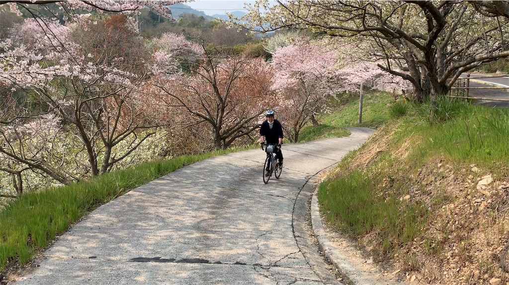 f:id:yPhonist:20190409114852j:image
