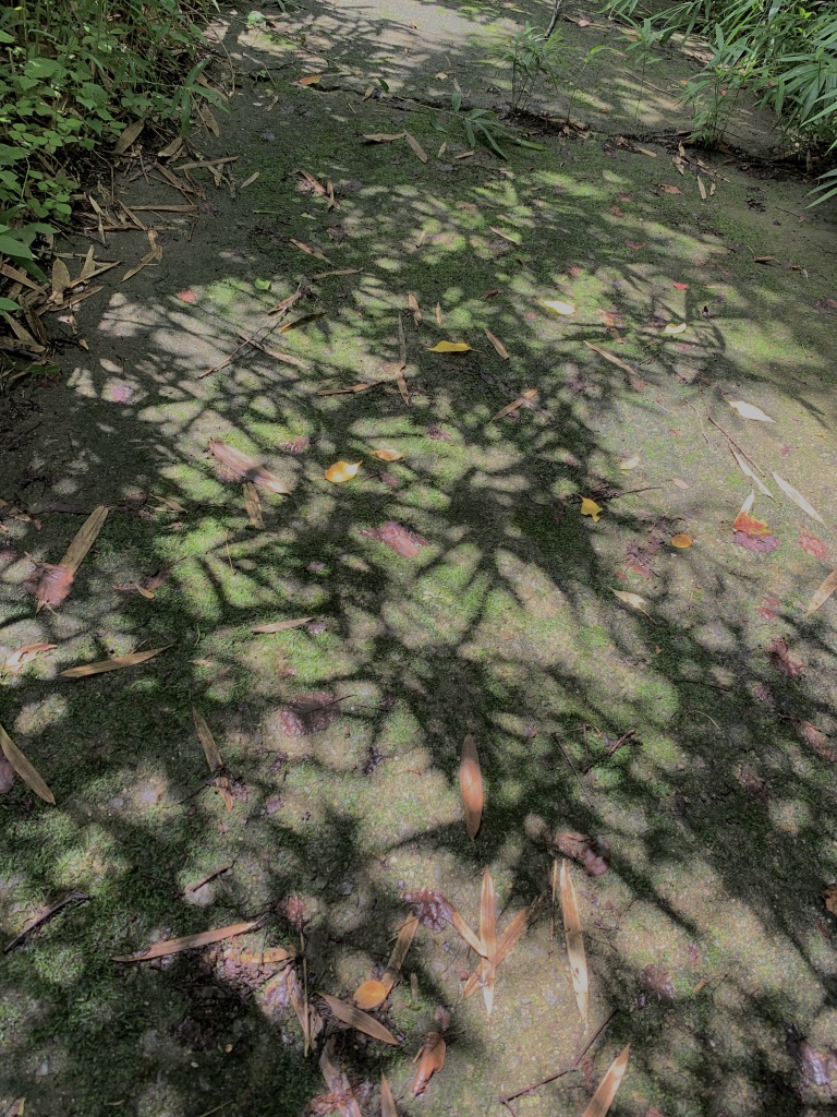 f:id:yPhonist:20190715144524j:plain f:id:yPhonist:20190715144524j:plain
