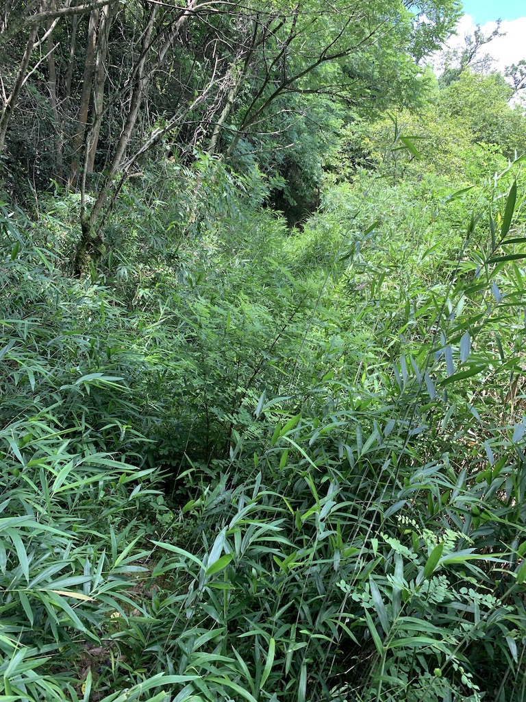 f:id:yPhonist:20190715144527j:plain f:id:yPhonist:20190715144527j:plain