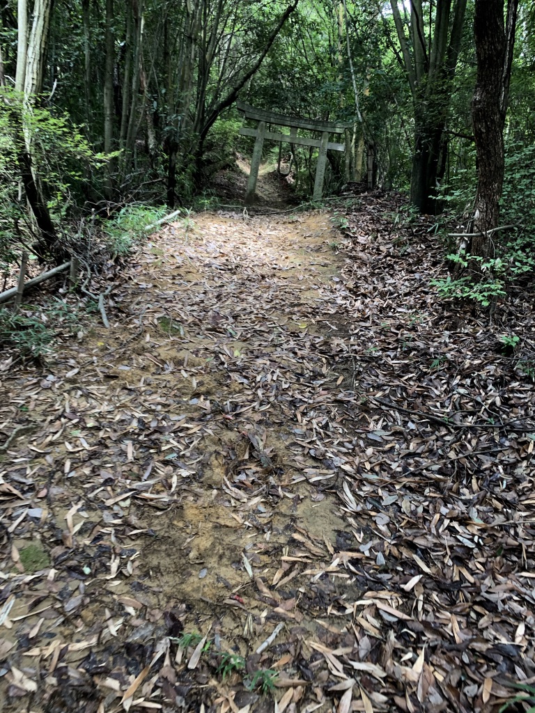 f:id:yPhonist:20190715144531j:plain f:id:yPhonist:20190715144531j:plain