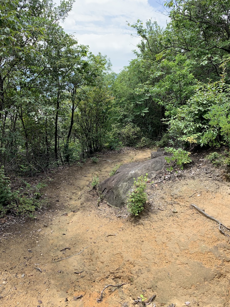 f:id:yPhonist:20190715145538j:plain f:id:yPhonist:20190715145538j:plain
