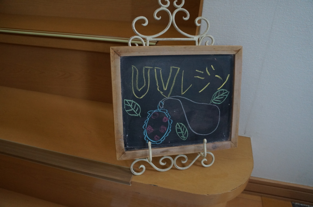 f:id:yShimizu:20170529020100j:plain f:id:yShimizu:20170529020100j:plain