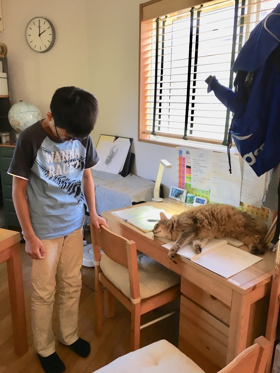 f:id:y_1000z:20190817091552j:plain