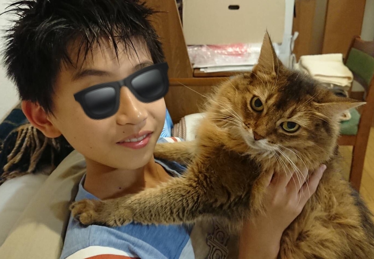 f:id:y_1000z:20190906071955j:plain