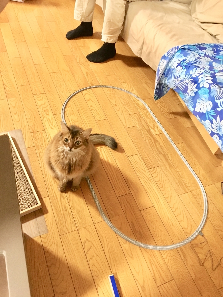 f:id:y_1000z:20190924214059j:plain