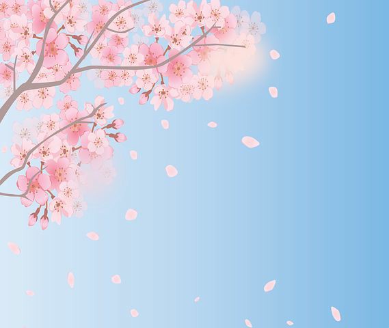 f:id:y_a_m_a_m_u:20190402223621j:image f:id:y_a_m_a_m_u:20190402223621j:image