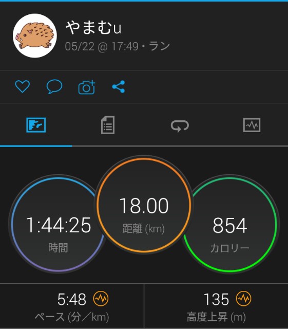 f:id:y_a_m_a_m_u:20190522205218j:image