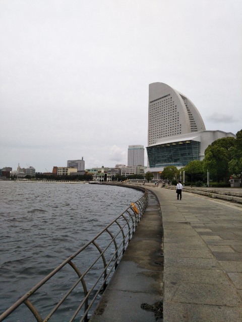 f:id:y_a_m_a_m_u:20190614180835j:image f:id:y_a_m_a_m_u:20190614180835j:image