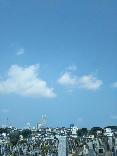f:id:y_a_m_a_m_u:20190802150526j:image f:id:y_a_m_a_m_u:20190802150526j:image