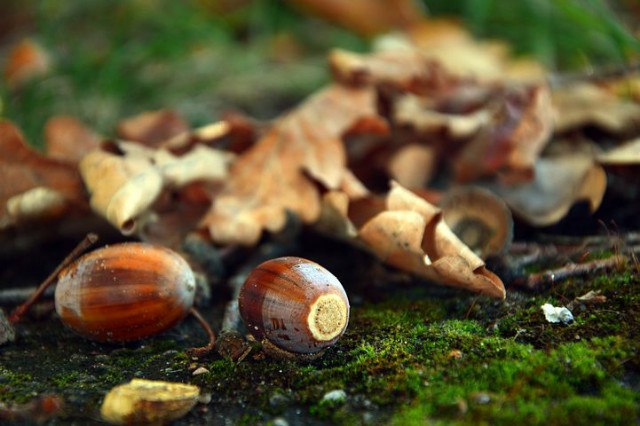 f:id:y_a_m_a_m_u:20200210061438j:image