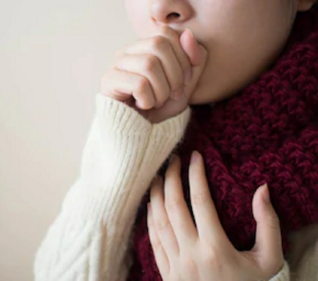 f:id:y_a_m_a_m_u:20200227061815j:image