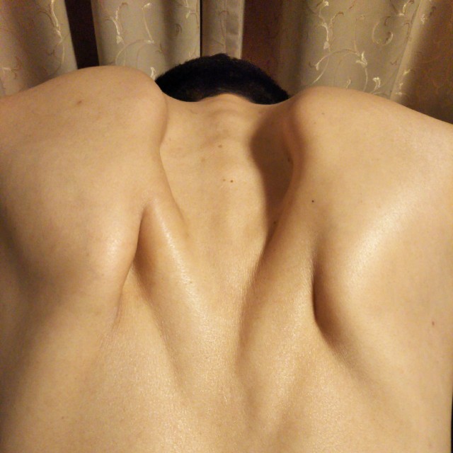 f:id:y_a_m_a_m_u:20200313205343j:image f:id:y_a_m_a_m_u:20200313205343j:image