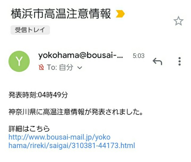 f:id:y_a_m_a_m_u:20200812061614j:image