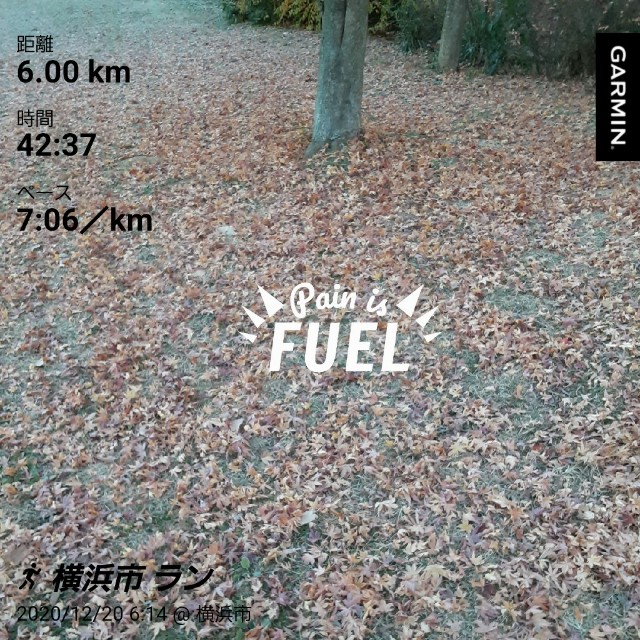 f:id:y_a_m_a_m_u:20201220071913j:image