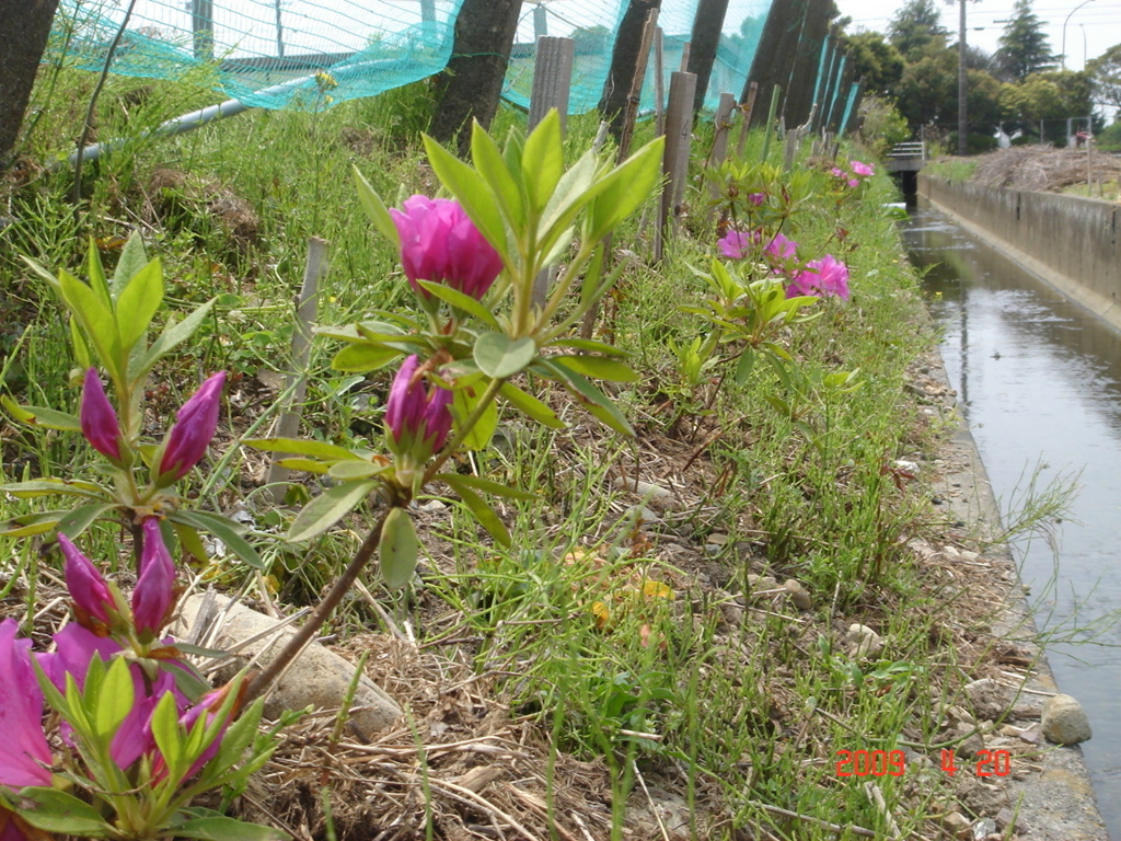 f:id:y_hamada:20090420112834j:plain f:id:y_hamada:20090420112834j:plain