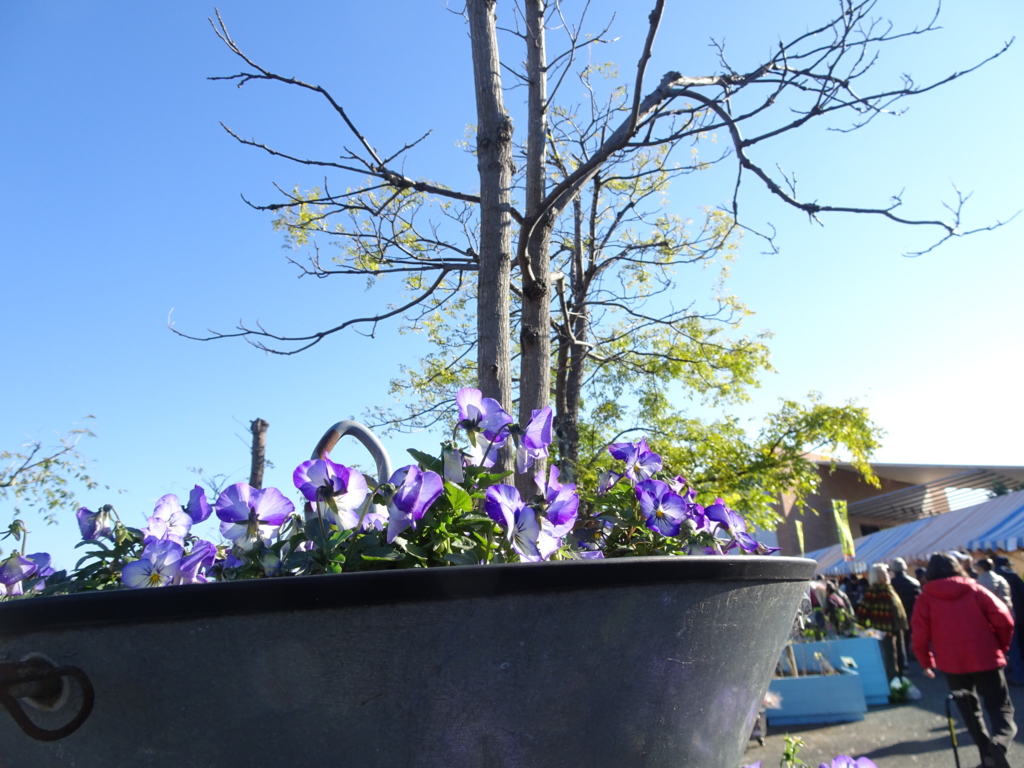 f:id:y_hamada:20161203092854j:plain