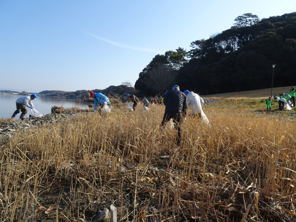 f:id:y_hamada:20170305084801j:plain