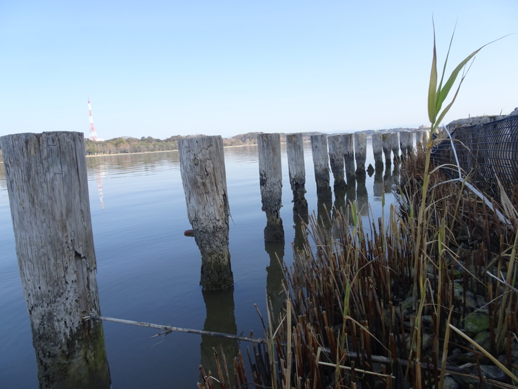 f:id:y_hamada:20170305090328j:plain